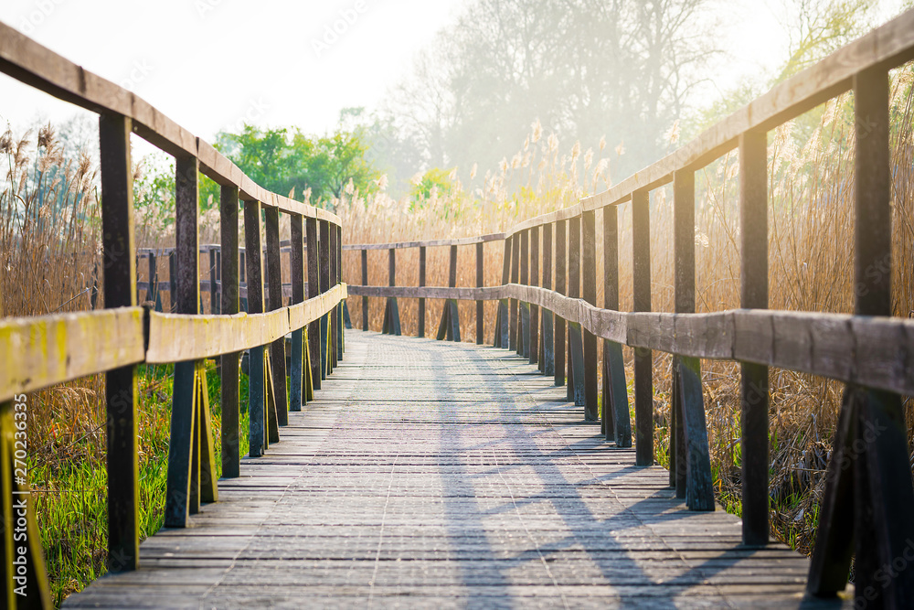Wooden footbridge on the river - nature path in a reed in sunshine.