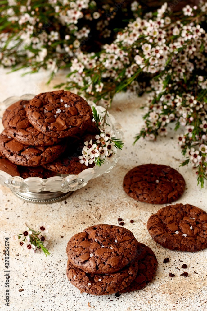 Fototapeta premium Homemade chocolate cookies 