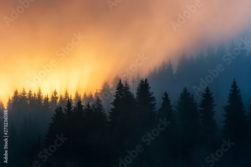 Colorful sunrise in forest mountain slope with mist
