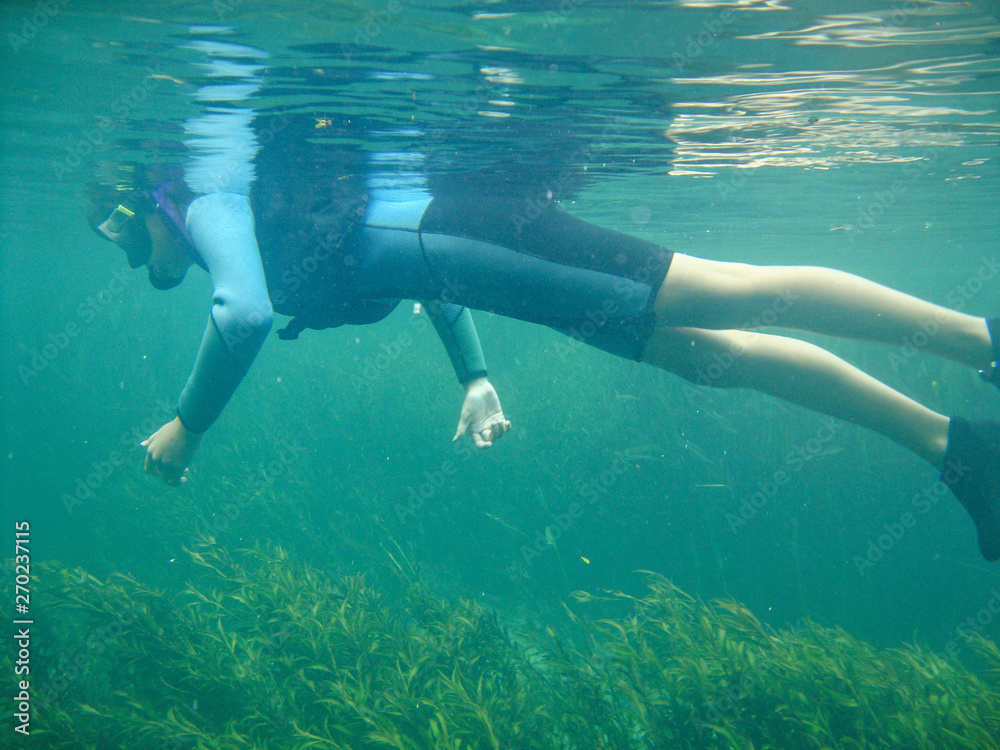 Girl snorkeling at Sucuri river water surface, crystal clear, transparent blue river, in Bonito, Mato Grosso do Sul, Brazil