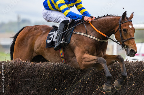 Close up on Race horse and jockey jumping a hurdle