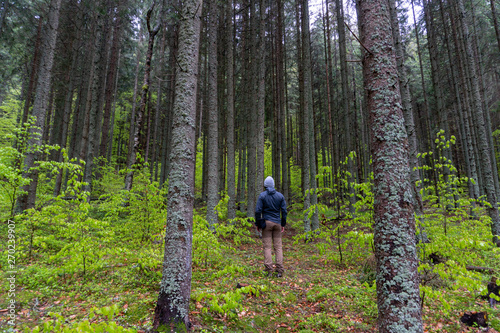 Man walking in the dark mountain forest in spring season. Hiking in forest.  Man Walking In Deep Forest.  © Epic Vision