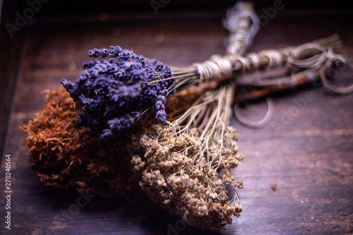 Bunches of medicinal herbs. Herbal medicine. Close up. photo