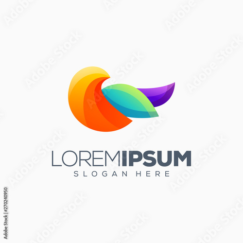 colorful bird logo design vector illustration