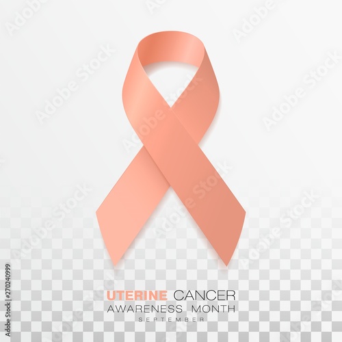 Uterine Cancer Awareness Month. Peach Color Ribbon Isolated On Transparent Background. Vector Design Template For Poster.