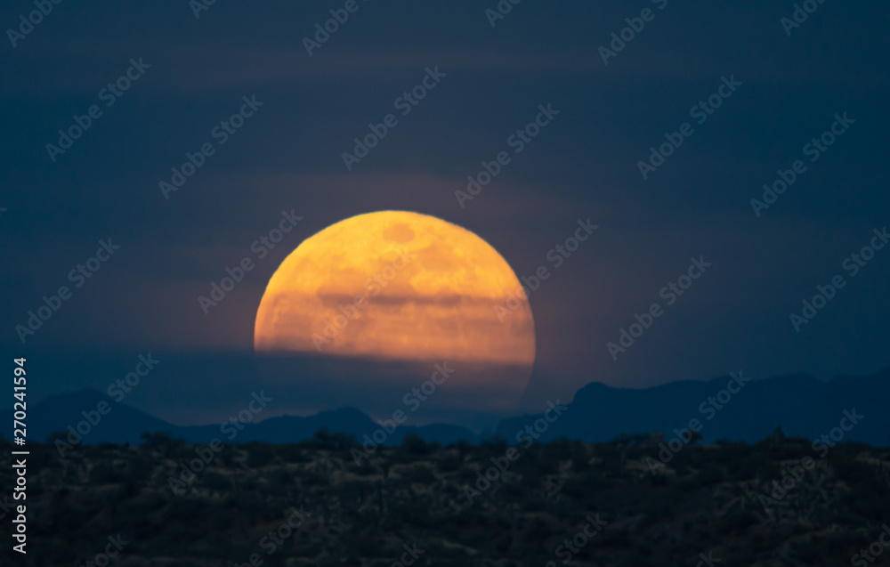 Desert Moonrise