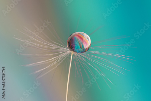 Macro of dandelion seed top with water drop and refraction of abstract background