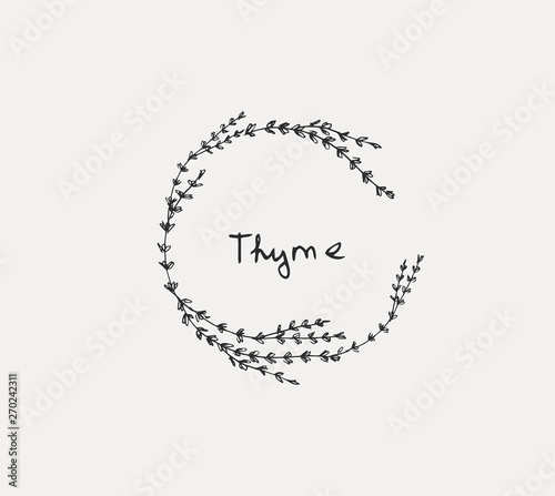 Hand drawn set of culinary herb. Basil and mint, rosemary and sage, thyme and parsley. Food design logo elements