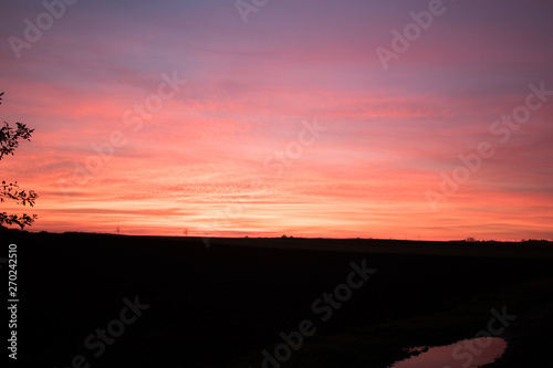 Beautiful sunrise over green field in a summer morning