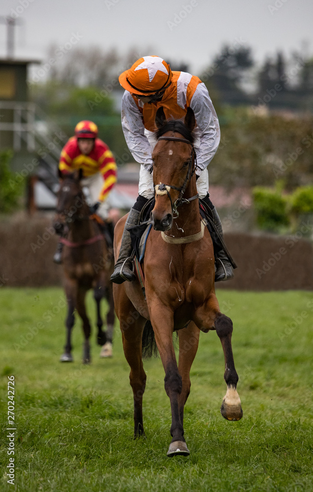 Lead race horse and jockey looking back on the race track, galloping on the race track Lead race horse and jockey looking back on the race track, galloping on the race track