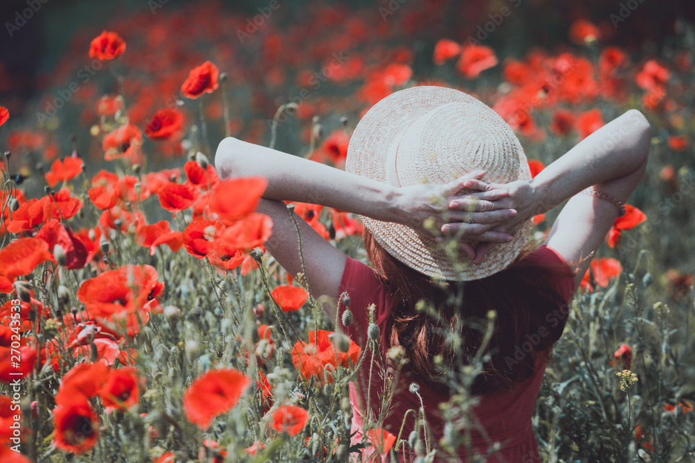 the poppies field the poppies field