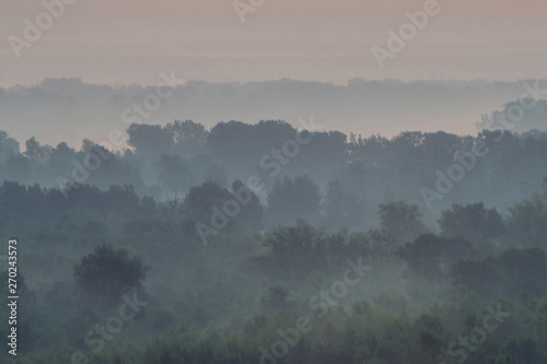 Mystical view from top on forest under haze at early morning. Mist among layers from tree silhouettes in taiga under predawn sky. Calm morning atmospheric minimalistic landscape of majestic nature. © Daniil