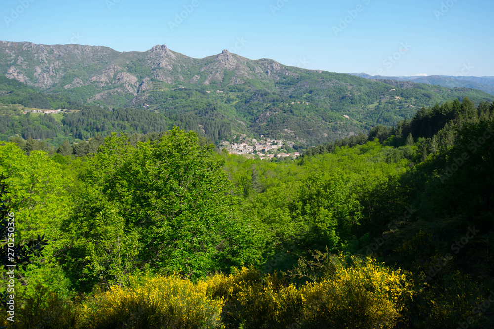 Wald im Krater bei Jaujac in den Monts d'Ardeche