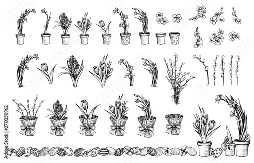 Spring flowers in pots, vector vintage illustration. Easter decoration and gardening sketches.