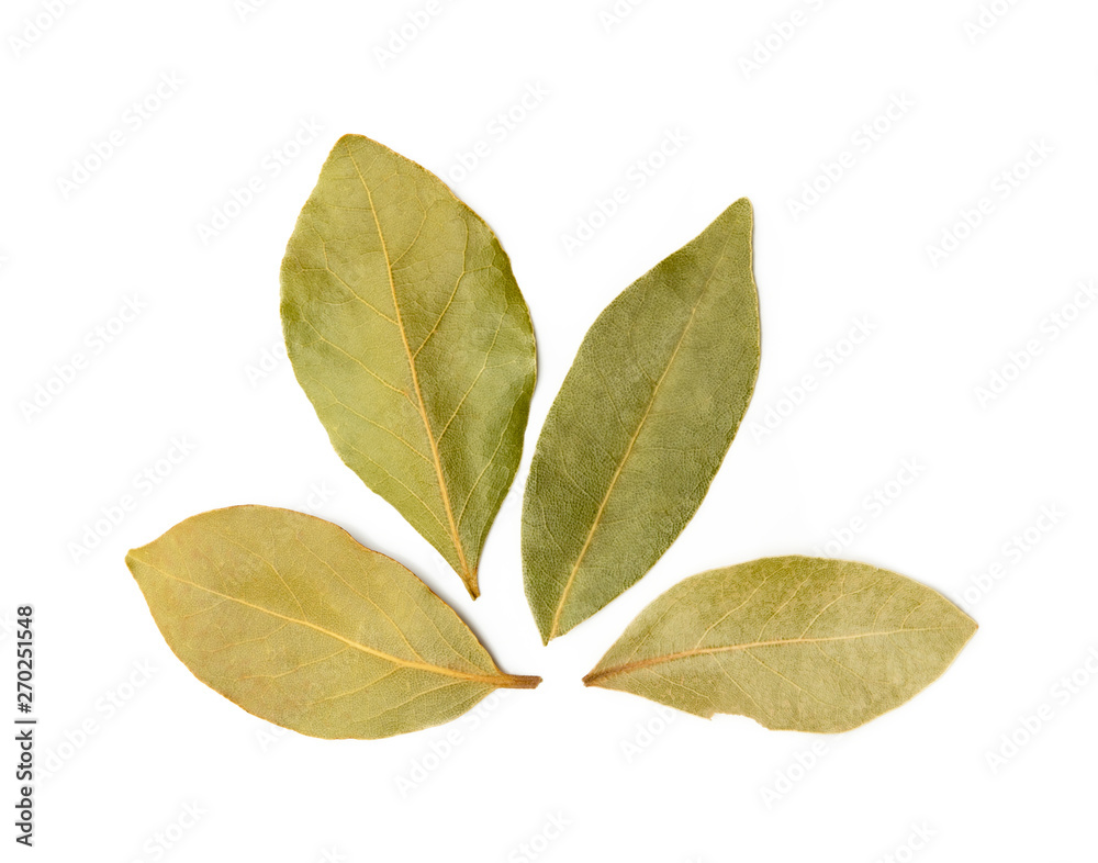 Dried bay leaf isolated on white background Dried bay leaf isolated on white background