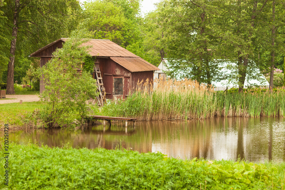 Botanical garden. Reeds in the wind and green nature by a lake or pond in spring or summer with wooden house and greenhouse Botanical garden. Reeds in the wind and green nature by a lake or pond in spring or summer with wooden house and greenhouse