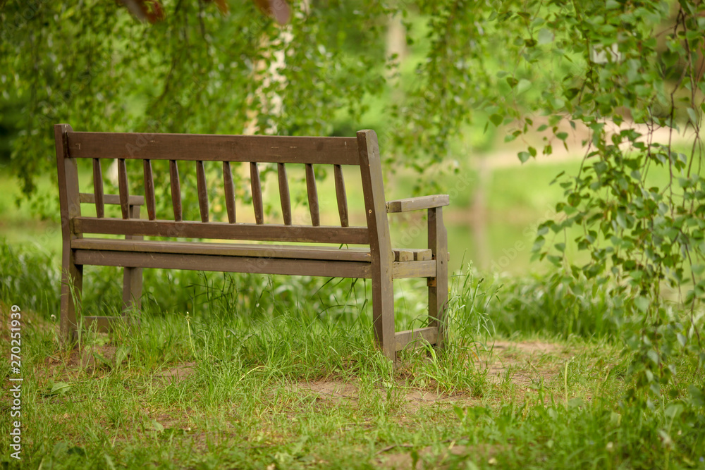Wooden bench in a wildflower green garden with trees, in spring or summer Wooden bench in a wildflower green garden with trees, in spring or summer