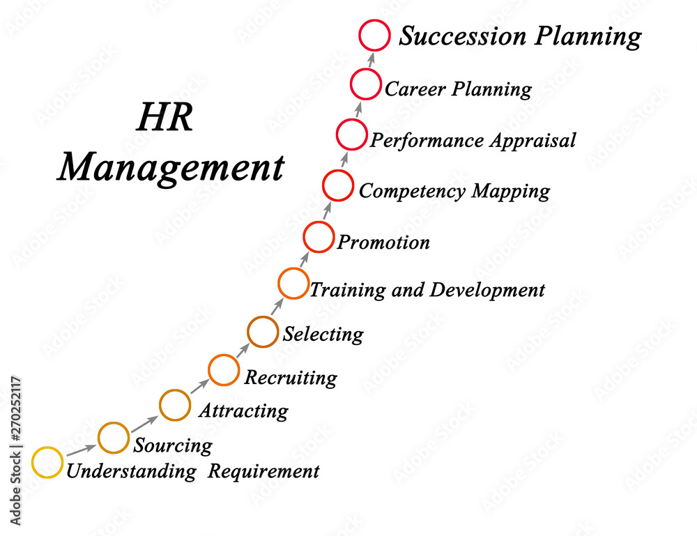 Eleven components of HR Management
