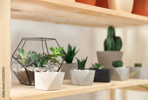 Different home plants on wooden shelf  space for text. Interior design element