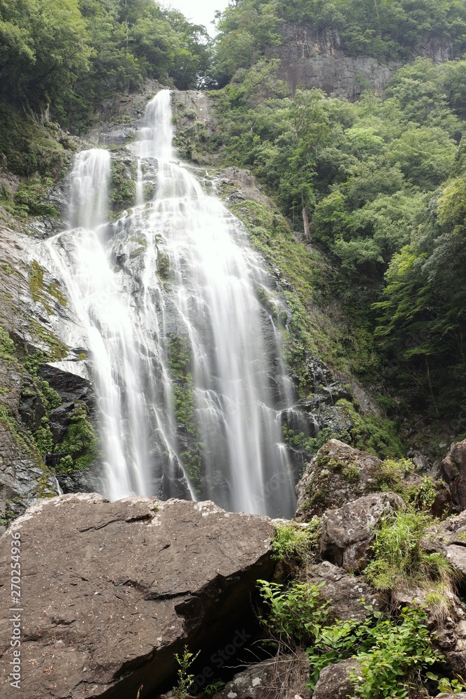 Fototapeta premium 千尋の滝