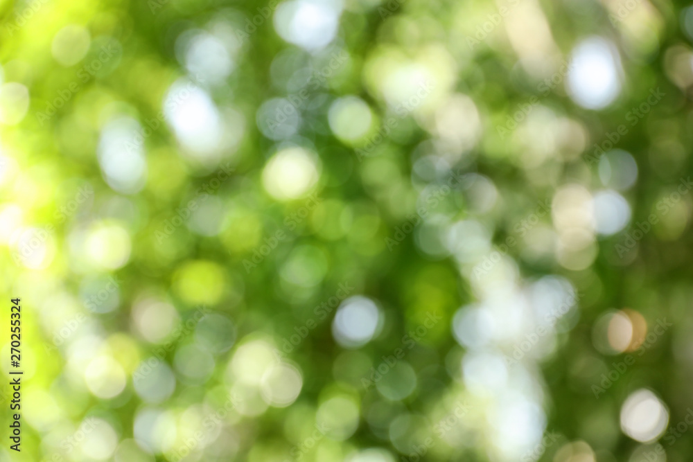 Fototapeta premium Blurred view of abstract green background. Bokeh effect
