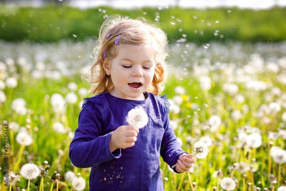 Adorable cute little baby girl blowing on a dandelion flower on the nature in the summer. Happy healthy beautiful toddler child with blowball, having fun. Bright sunset light, active kid. Adorable cute little baby girl blowing on a dandelion flower on the nature in the summer. Happy healthy beautiful toddler child with blowball, having fun. Bright sunset light, active kid.