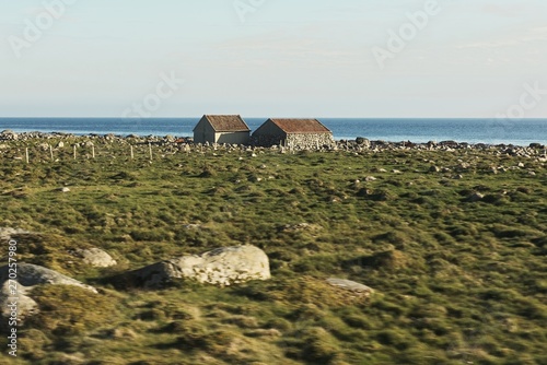 Two lonely old payozas on the sea photo