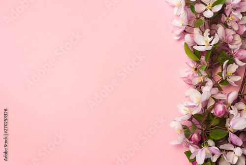 frame of pink flowers. apple tree flowers on a pink background with spase for text	