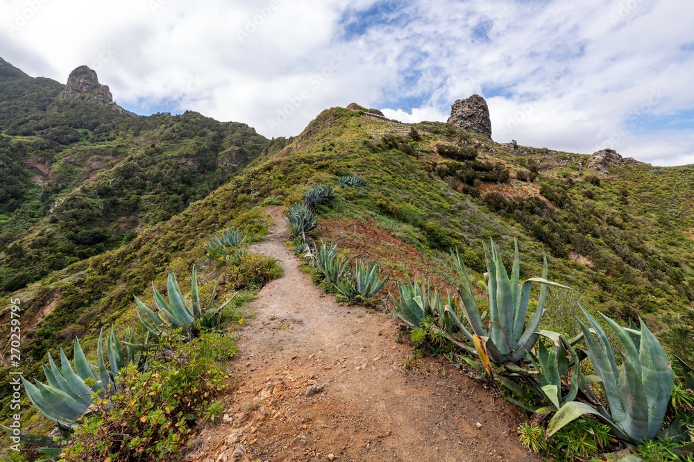 Rural park Anaga, Tenerife, Canary Islands, trekking