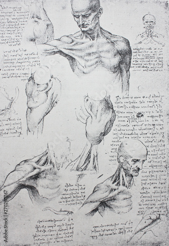 Canvas Print Anatomical notes