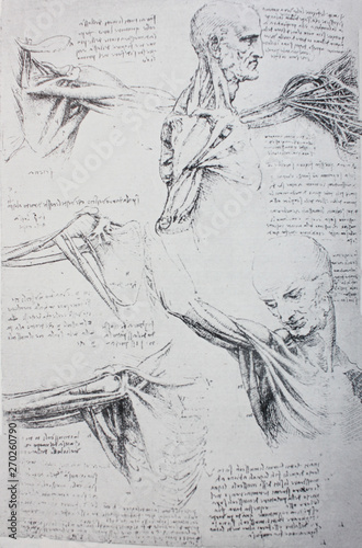 Φωτογραφία Anatomical notes