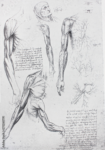 Anatomical notes. Profile, face, foot. Manuscripts of Leonardo da Vinci in the vintage book Leonardo da Vinci by A.L. Volynskiy, St. Petersburg, 1899
