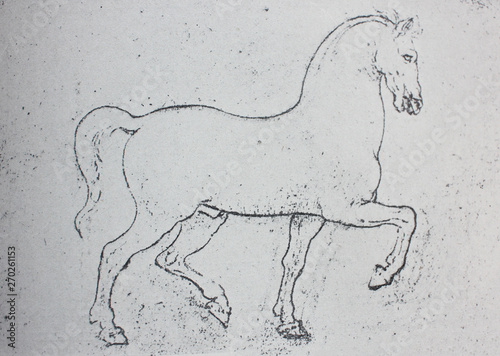 The sketches of the horse by Leonardo da Vinci in the vintage book Leonardo da Vinci by A.L. Volynskiy, St. Petersburg, 1899
