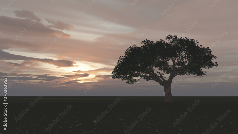 Obraz premium tree in the meadow sunset