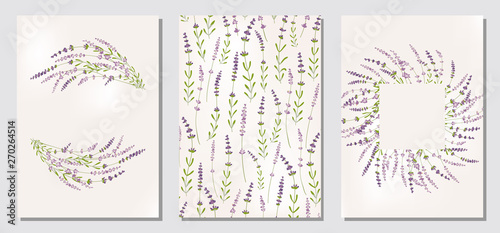 Print op canvas Set floral ornament card template leaves floral frame