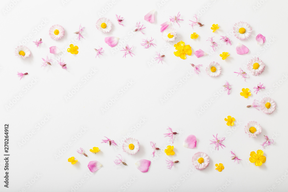 summer flowers on white background