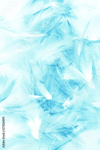 Beautiful abstract colorful white and blue light feathers wall pattern textures background and wallpaper art