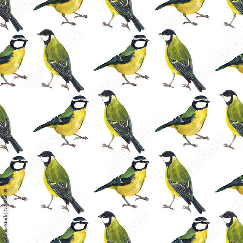 Seamless pattern with tomtits