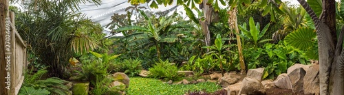 Palmetum of Santa Cruz de Tenerife, Canary Islands photo