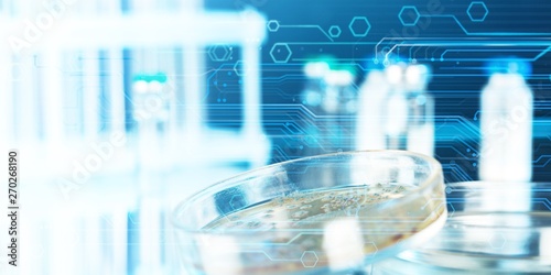 Petri dish with bacterial colonies on base, close-up view