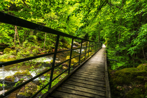 River valley canyon with wooden path on the rocks