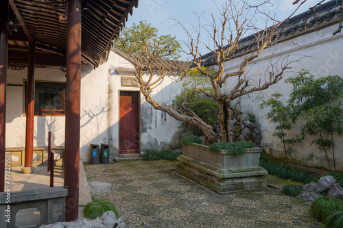 Quiet place with tree and bonsai tree inside Humble Administration Park in China, Suzhou city with white wall on background, columns and closed door