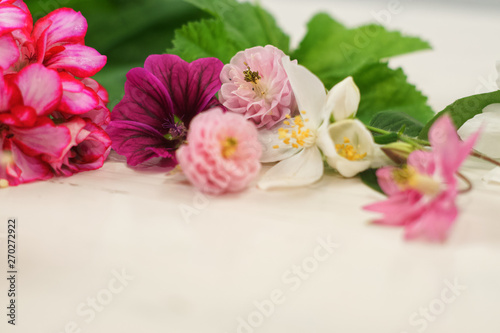 Fototapeta Naklejka Na Ścianę i Meble -  Blüten auf weißem Hintergrund