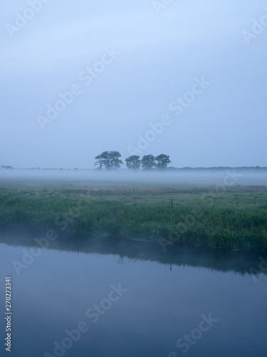Trees on fog-covered green fields and meadows at a canal during sunrise in Havelland in Brandenburg, Germany 