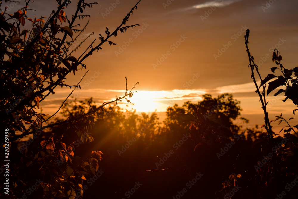 Obraz premium Beautiful sunset