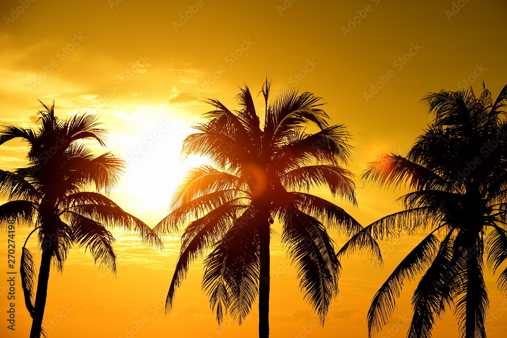 The sun is rising and the golden yellow sky and coconut trees at the beach by the sea in the early morning