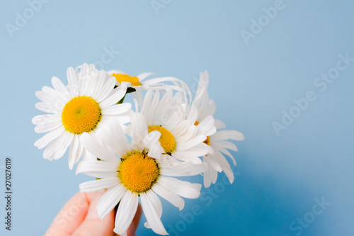 A bouquet of five delicate wildflowers daisies in his hand on a light blue background