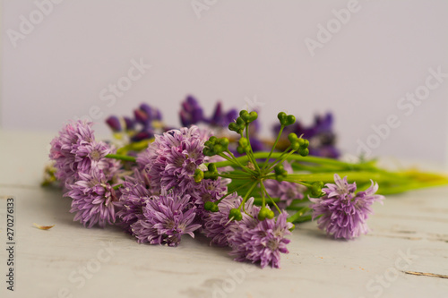 Rustic composition of flowering onion light purple allium and lupine on a soft purple background