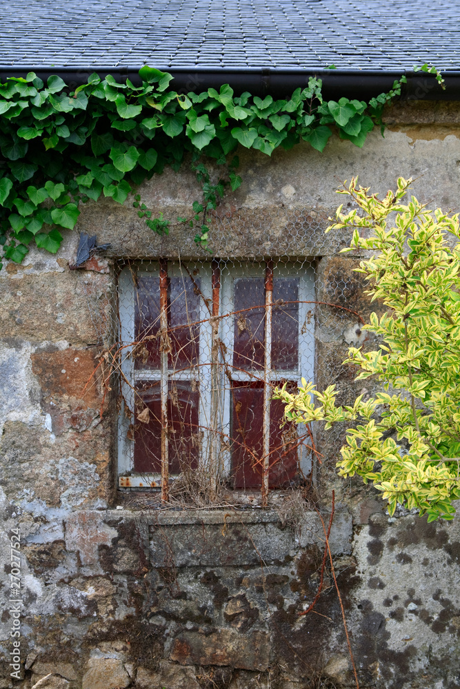 window of an abandoned and neglected Farmhouse, Brittany, France, with bars over the window and overgrown plants window of an abandoned and neglected Farmhouse, Brittany, France, with bars over the window and overgrown plants