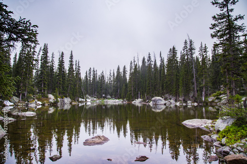 Trees in lake reflection